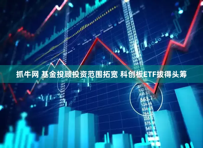 抓牛网 基金投顾投资范围拓宽 科创板ETF拔得头筹